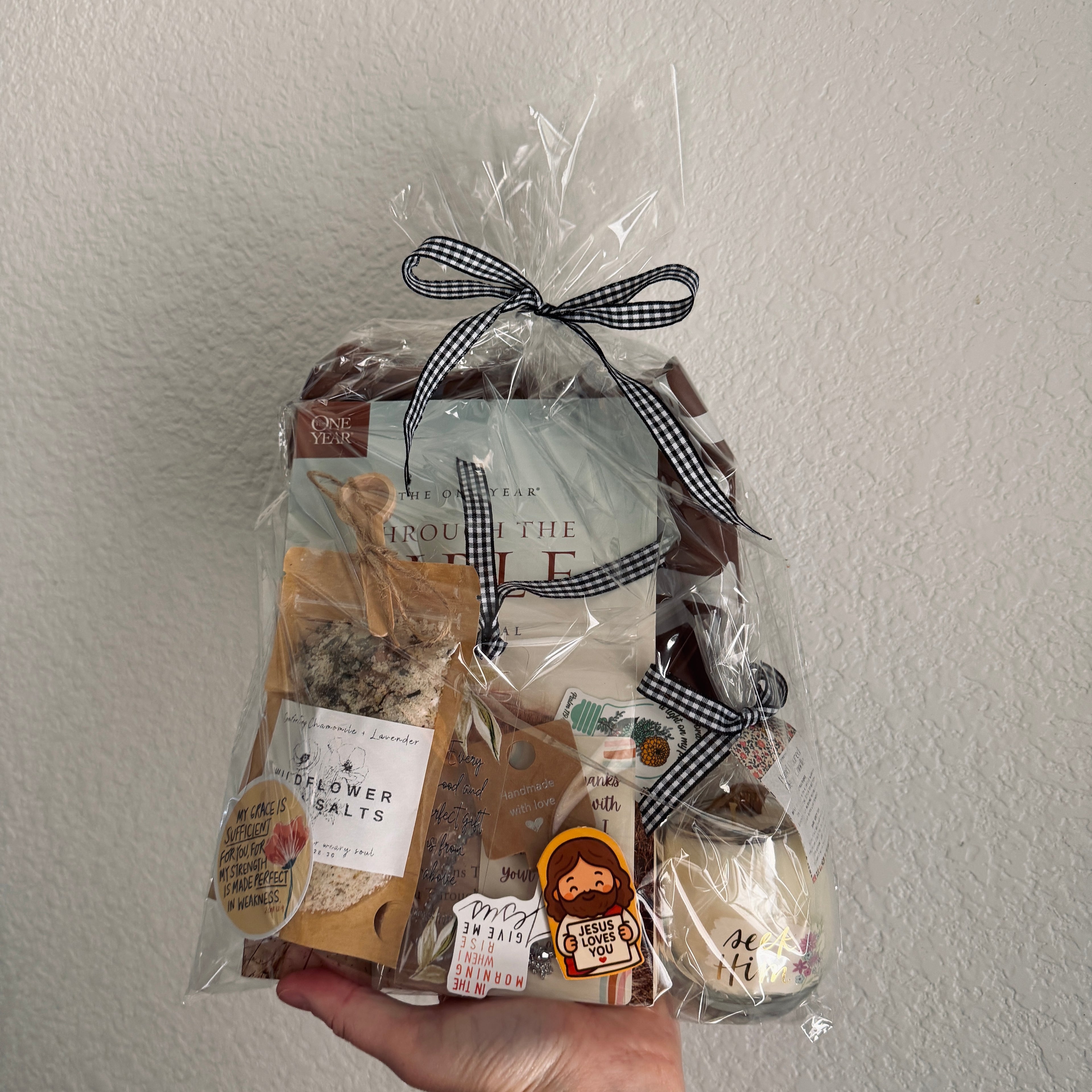 One Year Through the Bible Devotional Book Bag Bundle