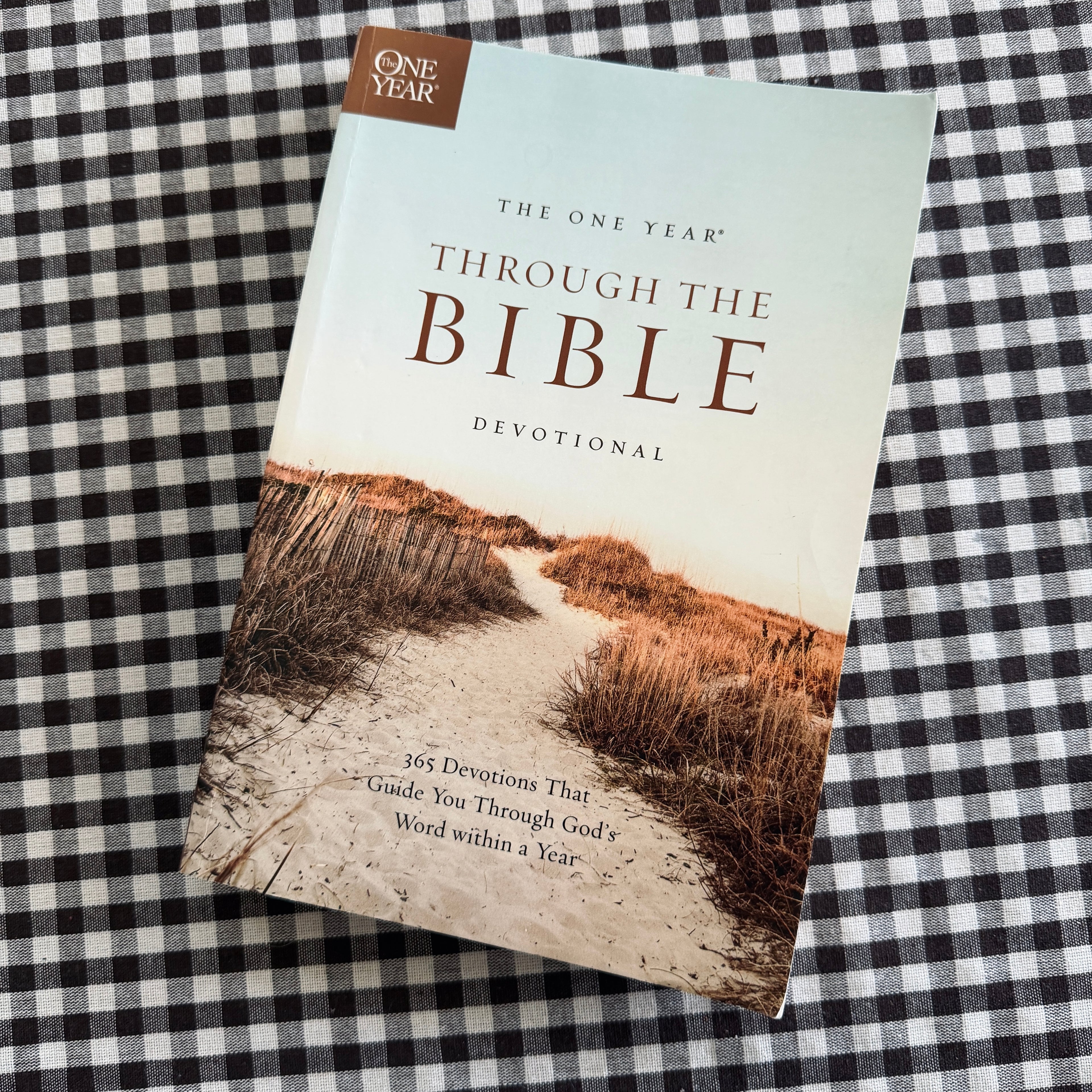 One Year Through the Bible Devotional Book Bag Bundle