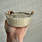 Clean Ingredient Hand Poured Candle in Vintage Pressed Glass Bowl