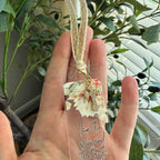 “Way Truth Life” Bible Verse Charm Bookmark