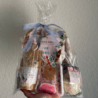 The Mothers and Daughters of the Bible Speak Book Bag Bundle