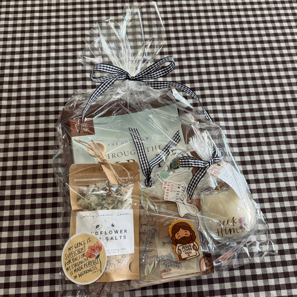 One Year Through the Bible Devotional Book Bag Bundle